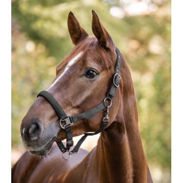 Caveção Waldhausen Gloomy Cinza granito