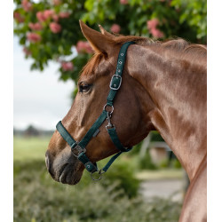 Caveção Waldhausen Gloomy Verde pinho