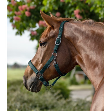 Caveção Waldhausen Gloomy Verde pinho