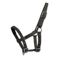 Caveção Waldhausen Mini-Shetland Preto