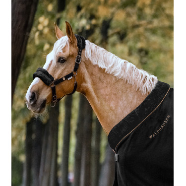 Cabeçada Waldhausen Modern Rosé Preto / antracite