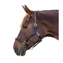 Cabezada Waldhausen Nevada Preto / prata