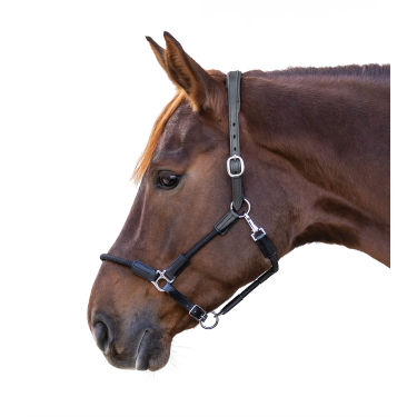 Cabezada Waldhausen Nevada Preto / prata