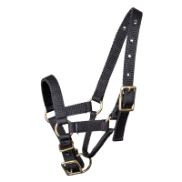 Cabresto Waldhausen para alpaca Preto