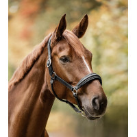 Cabeçada Waldhausen S-Line em couro Glamour Preto