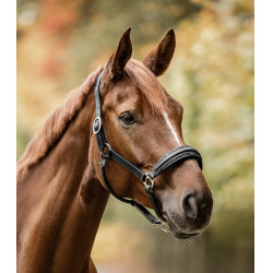 Cabeçada Waldhausen S-Line em couro Glamour Preto