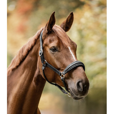 Cabeçada Waldhausen S-Line em couro Glamour Preto