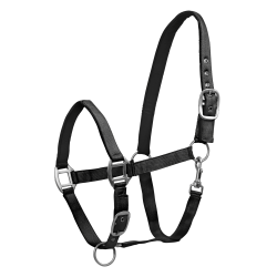 Caveção Waldhausen Satin