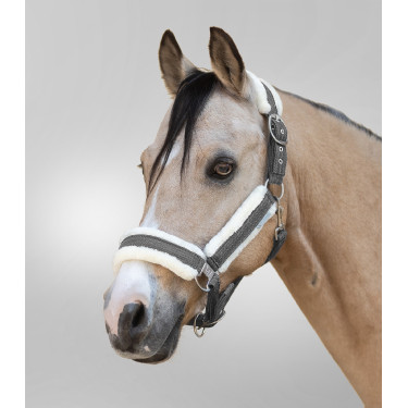 Cabeçada Waldhausen Sparkle Cinzento