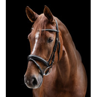 Bridão Clincher Waldhausen X-Line Preto Bridão Clincher Waldhausen X-Line Preto