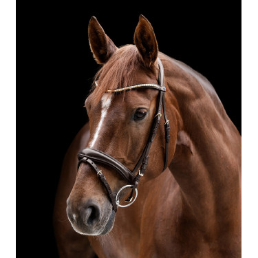 Bridão Clincher Waldhausen X-Line Castanho Bridão Clincher Waldhausen X-Line Castanho