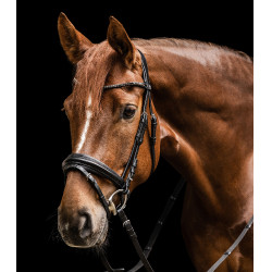 Bridão favorito Waldhausen X-Line Preto Bridão favorito Waldhausen X-Line Preto