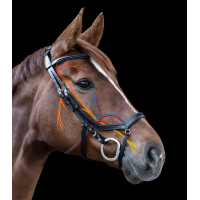 Bridão Relaxation Waldhausen X-Line Preto