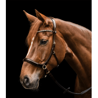 Bridão sem embocadura Sensation Waldhausen X-Line Castanho Bridão sem embocadura Sensation Waldhausen X-Line Castanho