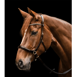 Bridão sem embocadura Sensation Waldhausen X-Line Castanho