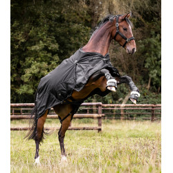Capa de exterior Waldhausen Scandic Multi-Layer 250 g / 100 g Preto Capa de exterior Waldhausen Scandic Multi-Layer 250 g / 100 g Preto