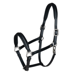 Cabeçada de couro Waldhausen Classy X-Line