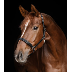 Cabeçada de couro Waldhausen Classy X-Line Preto / prata