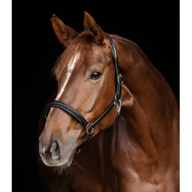 Cabeçada de couro Waldhausen Classy X-Line Preto / prata