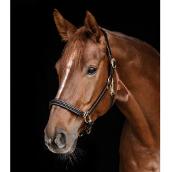 Cabeçada de couro Waldhausen Classy X-Line Castanho / dourado