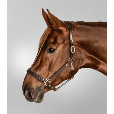 Cabeçada de couro Waldhausen Classy X-Line Castanho / dourado