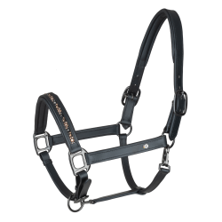 Cabeçada de couro Waldhausen Crystal X-Line Cabeçada de couro Waldhausen Crystal X-Line