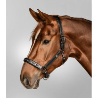 Cabeçada de couro Waldhausen Crystal X-Line Preto / cinza Cinzento Cabeçada de couro Waldhausen Crystal X-Line Preto / cinza Cinzento