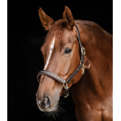 Cabeçada de couro Waldhausen Crystal X-Line Castanho / dourado