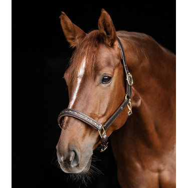 Cabeçada de couro Waldhausen Crystal X-Line Castanho / dourado