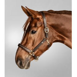 Cabeçada de couro Waldhausen Crystal X-Line Castanho / dourado