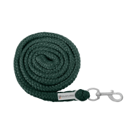 Corda de condução Waldhausen Economic com mosquetão Verde pinho