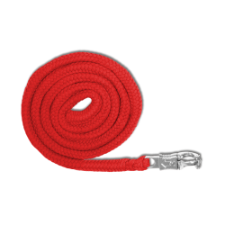 Cabo de condução Waldhausen Economic com mosquetão anti-pânico Vermelho Cabo de condução Waldhausen Economic com mosquetão anti-pânico Vermelho