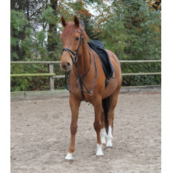 Martingale Waldhausen X-Line Preto