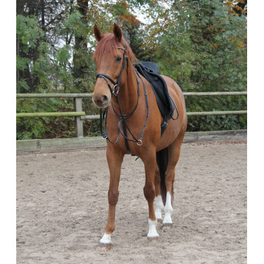 Martingale Waldhausen X-Line Preto