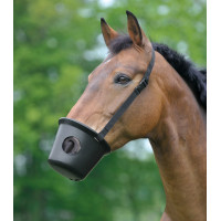 Cesto anti-cólicas Waldhausen pônei Preto