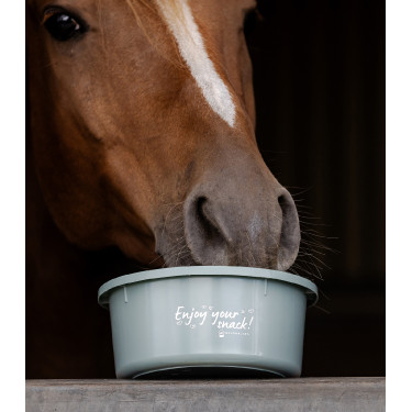 Pequena marmita Waldhausen com tampa Rédea