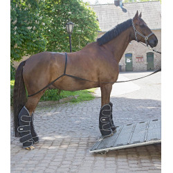 Rampa Waldhausen caminhão