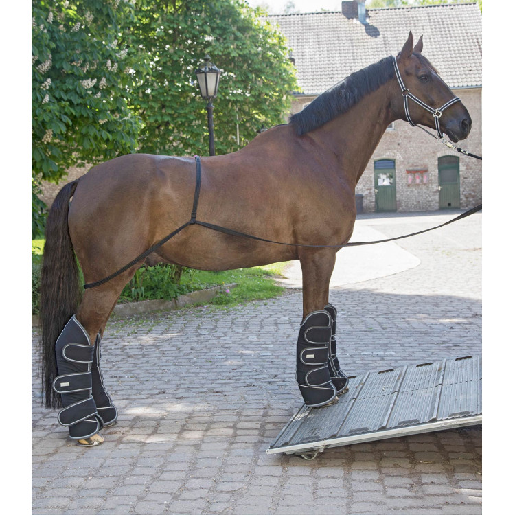 Rampa Waldhausen caminhão