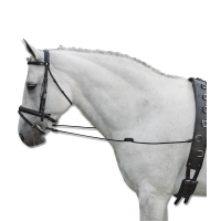 Rendas fixas Waldhausen Elásticas Preto