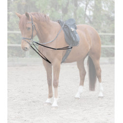 Rendas vienenses Waldhausen X-Line Preto