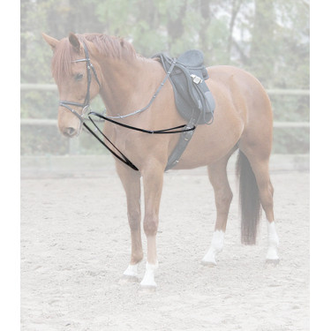 Rendas vienenses Waldhausen X-Line Preto