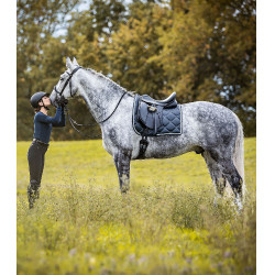 Sela de adestramento Waldhausen Premium couro Preto