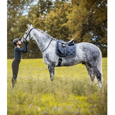 Sela de adestramento Waldhausen Premium couro Sela de adestramento Waldhausen Premium couro
