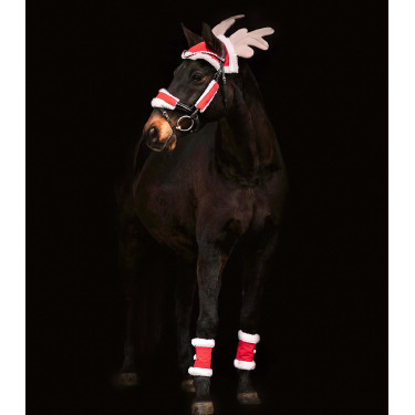 Conjunto de Natal Waldhausen cavalo