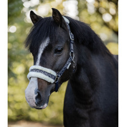 Conjunto de cabresto Waldhausen Lucky Azul noturno / lucky