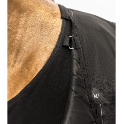 Subcobertura polar Waldhausen Preto