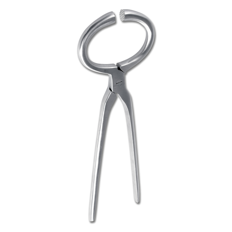 Tricoise Waldhausen para examinar os cascos