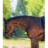 Rendas triangulares W-train Waldhausen Preto