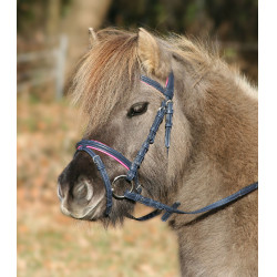 Unicórnio Estrela Noiva 2