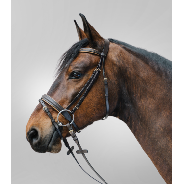 Bridon Star Diamond Castanho / dourado